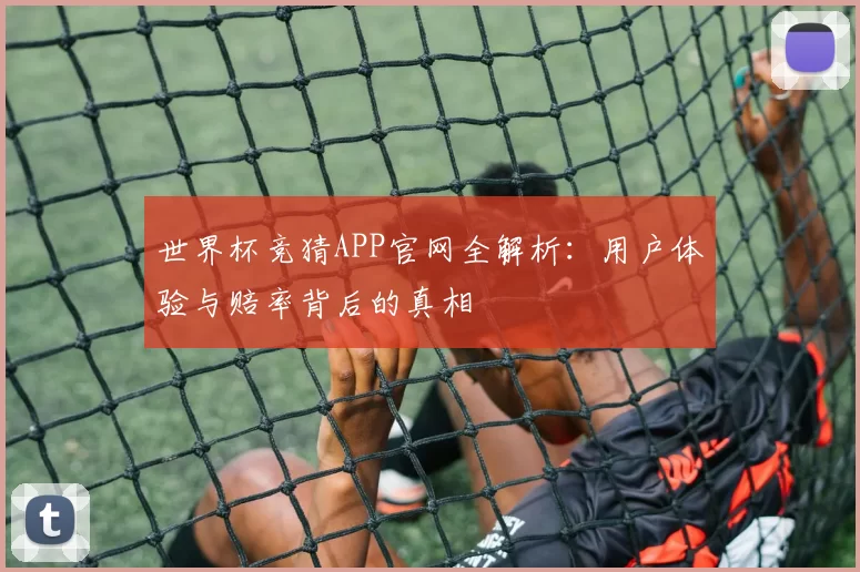 世界杯竞猜APP官网全解析：用户体验与赔率背后的真相