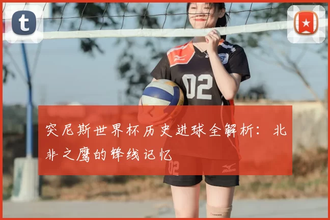 突尼斯世界杯历史进球全解析：北非之鹰的锋线记忆