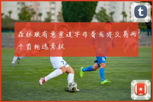 森林狼有意重追字母哥或将交易两个首轮选秀权