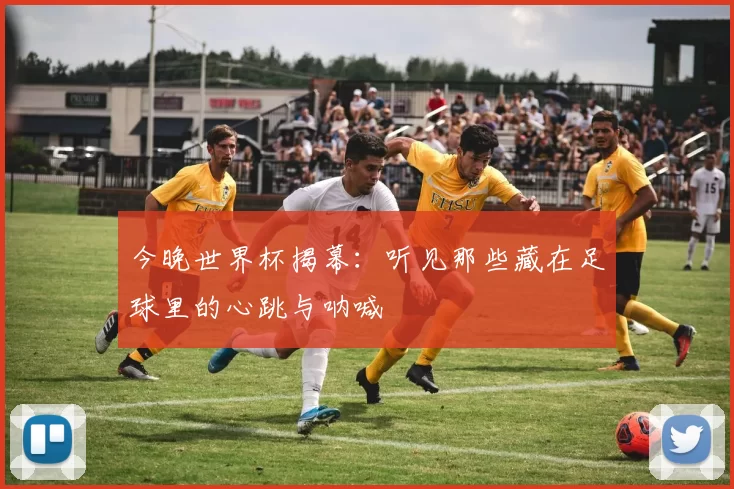 今晚世界杯揭幕：听见那些藏在足球里的心跳与呐喊