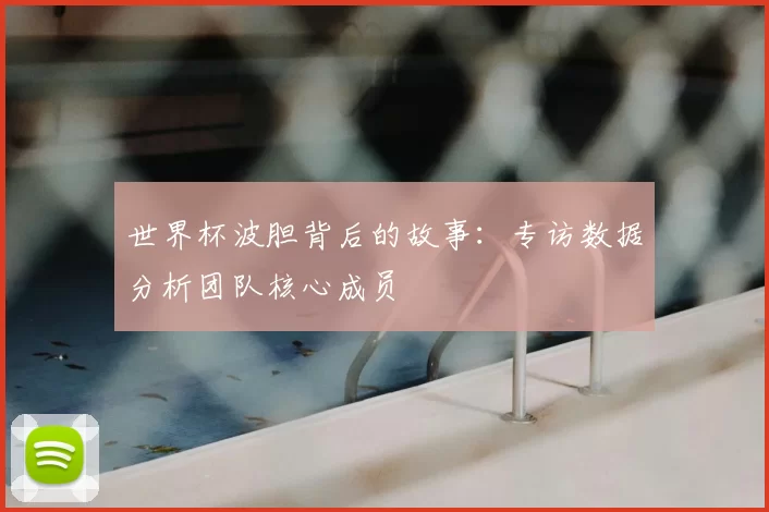 世界杯波胆背后的故事：专访数据分析团队核心成员
