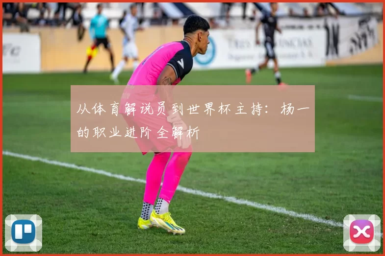 从体育解说员到世界杯主持:杨一的职业进阶全解析