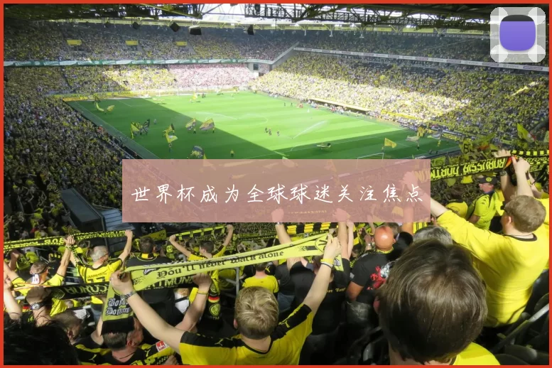 世界杯成为全球球迷关注焦点
