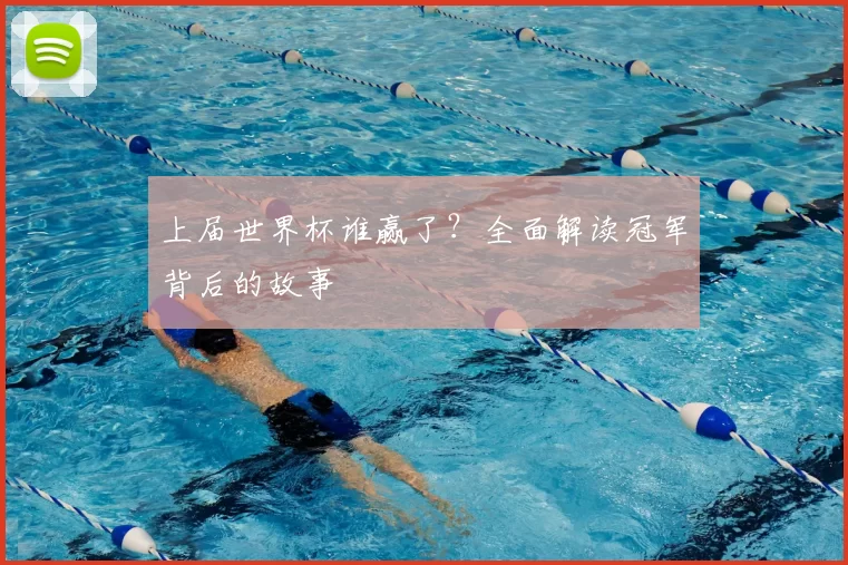 上届世界杯谁赢了?全面解读冠军背后的故事