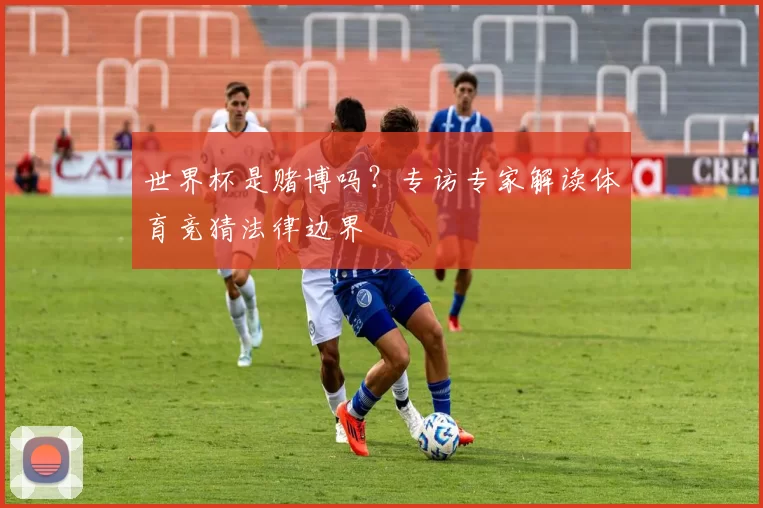 世界杯是赌博吗？专访专家解读体育竞猜法律边界