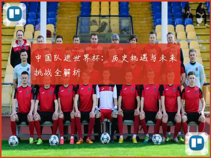 中国队进世界杯:历史机遇与未来挑战全解析