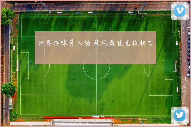 世界杯球员入场 展现最佳竞技状态